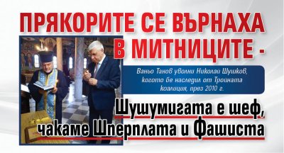 Прякорите се върнаха в митниците - Шушумигата е шеф, чакаме Шперплата и Фашиста