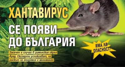 Има ли опасност? Хантавирус се появи до България