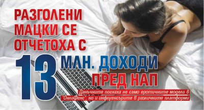 Разголени мацки се отчетоха с 13 млн. доходи пред НАП