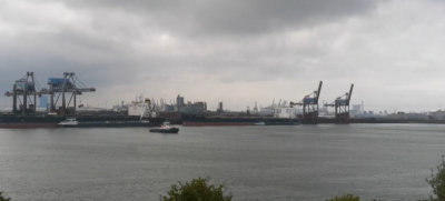 Ротердам приема круизния кораб, засегнат от хантавирус