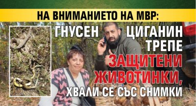 НА ВНИМАНИЕТО НА МВР: Гнусен циганин трепе защитени животинки, хвали се със снимки