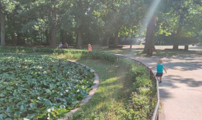 Внимание, нова схема: Нагли престъпници използват малки плачещи деца за да ви оберат