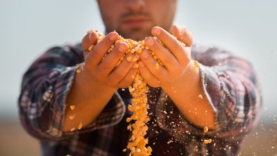Унгария забрани вноса на украинска продукция