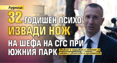 Лудница: 32-годишен психо извади нож на шефа на СГС при Южния парк 