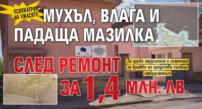Психиатрия на ужасите: Мухъл, влага и падаща мазилка след ремонт за 1,4 млн. лв.