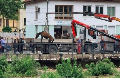 Спасиха коне от придошлите води на Бели Вит в Тетевен (СНИМКИ)