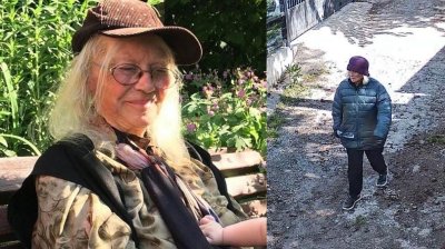 Дни без следа от Тоня: Продължава издирването на изчезналата жена край Панчарево