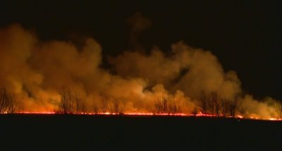 Потушен е пожарът, обхванал Драгоманското блато