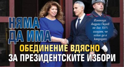 Няма да има обединение вдясно за президентските избори