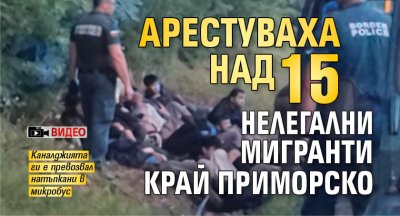 Арестуваха над 15 нелегални мигранти край Приморско (ВИДЕО)