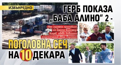 ИЗВЪНРЕДНО: ГЕРБ показа "Баба Алино" 2 - поголовна сеч на 10 декара (СНИМКИ)
