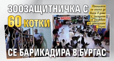Зоозащитничка с 60 котки се барикадира в Бургас (ВИДЕО)