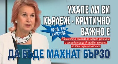 Проф. Ива Христова: Ухапе ли ви кърлеж - критично важно е да бъде махнат бързо 