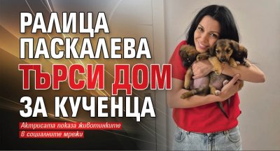 Ралица Паскалева търси дом за кученца