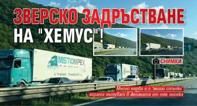 Зверско задръстване на "Хемус"! (СНИМКИ)