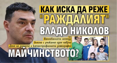 Как иска да реже "раждалият" Владо Николов майчинството? 