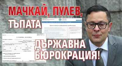 Мачкай, Пулев, тъпата държавна бюрокрация!