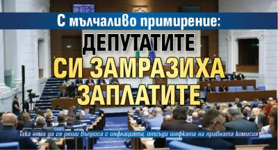 С мълчаливо примирение: Депутатите си замразиха заплатите 