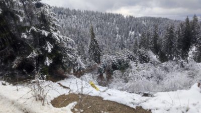 Днес се възстановява движението между Смолян и Пампорово по авариен