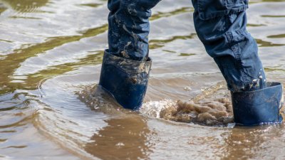 Порой заля къщи и улици във варненското село Войводино