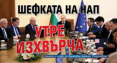 Шефката на НАП утре изхвърча