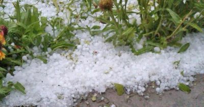 Градушка унищожи голяма част от реколтата в землищата на пловдивските