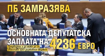 ПБ замразява основната депутатска заплата на 4236 евро