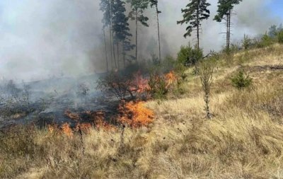 Сметната палата стартира одит за последните две години Във фокуса
