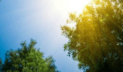 Днес ще бъде предимно слънчево след обяд с временни увеличения на