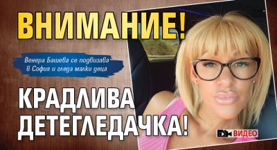 Внимание! Крадлива детегледачка! (Видео)