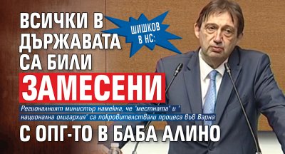 Шишков в НС: Всички в държавата са били замесени с ОПГ-то в Баба Алино