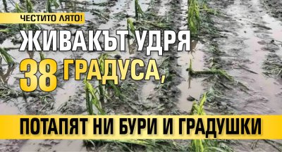 ЧЕСТИТО ЛЯТО! Живакът удря 38 градуса, потапят ни бури и градушки