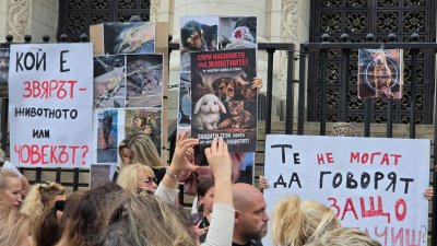 Ще се ангажира ли правителството със стратегия за животните?