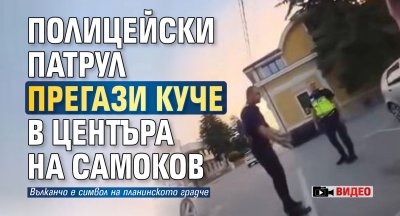 Полицейски патрул прегази куче в центъра на Самоков Това твърдят