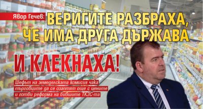 Явор Гечев: Веригите разбраха, че има друга държава и клекнаха! 