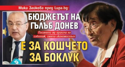 Мика Зайкова пред Lupa.bg: Бюджетът на Гълъб Донев е за кошчето за боклук