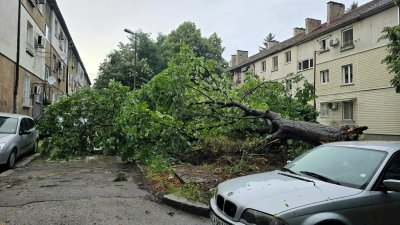 Ной, идваш ли? Бурята в София в СНИМКИ (Галерия)
