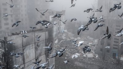 Малко птиче гнездо свито от оптични влакна и суха трева