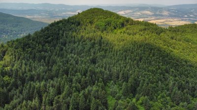 Хващайте гората, условията за туризъм са добри