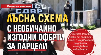 Имотни измами: Лъсна схема с необичайно изгодни оферти за парцели