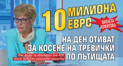 Виолета Комитова: 10 милиона евро на ден отиват за косене на тревички по пътищата