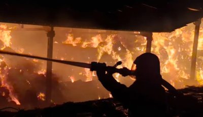 Огнеборци спасиха 100 крави и телета от огормен пожар край Асеновград