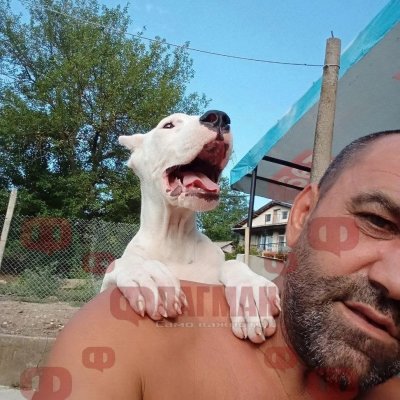 КОШМАР! Загиналият край Босна Редван пътувал за сватбата на сина си
