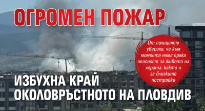 Огромен пожар избухна край Околовръстното на Пловдив (ВИДЕО)