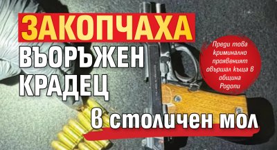 Закопчаха въоръжен крадец в столичен мол
