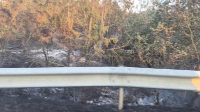 По информация на кмета на село Марикостиново Гергана Тодорова два пожара