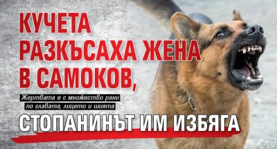 Кучета разкъсаха жена в Самоков, стопанинът им избяга