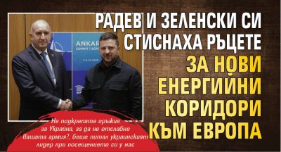 Радев и Зеленски си стиснаха ръцете за нови енергийни коридори към Европа 