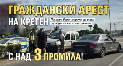 Граждански арест на кретен с над 3 промила!