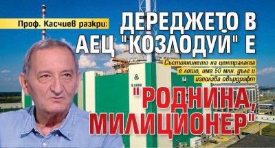 Проф. Касчиев разкри: Дереджето в АЕЦ "Козлодуй" е "роднина, милиционер"